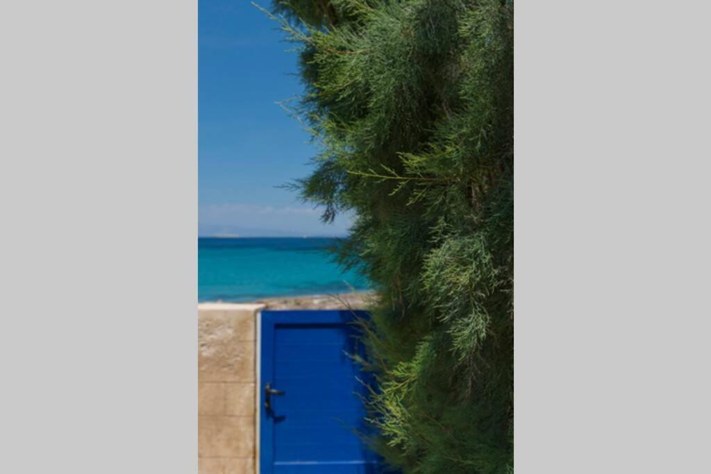 Palmaya Villa, Unique Seafront Experience Vagia  Exterior foto